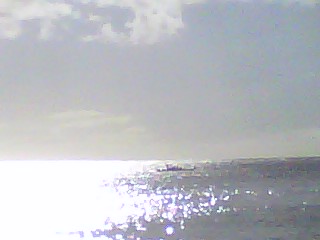 The canoe coming in from PM tour.